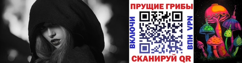 ОМГ ОМГ онион  магазин  наркотиков  Талица  Псилоцибиновые грибы MAGIC MUSHROOMS 