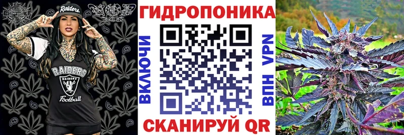 Канабис конопля  как найти закладки  Талица 